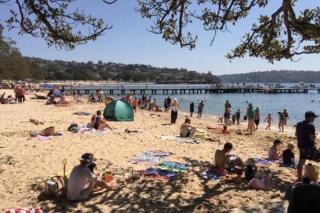 Apartment on Balmoral Beach Hill - Sydney - 2