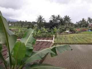 Homestay Ayuning Kuningan - - 2