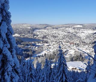 Apartement sur les hauteurs de Gerardmer avec une SUPERBE VUE - Gérardmer - 1