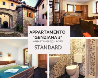 Albergo Diffuso Sutrio Zoncolan - 1