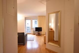 1BR near lake - Joy ST3 R - Zurigo - 3