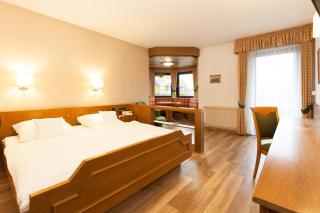 Landgasthof Hotel Hirsch - 9