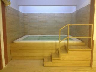 Duna Wellness Hotel - Baja - 4