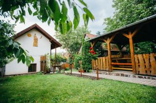Gyöngyvirág Panzió - Lupeni - 8