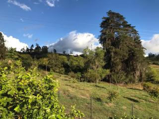 Estancia los pinos - 3