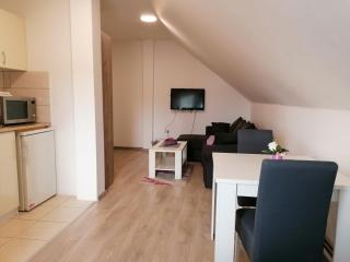 Studio apartman Vasić - Banja Koviljača - 4