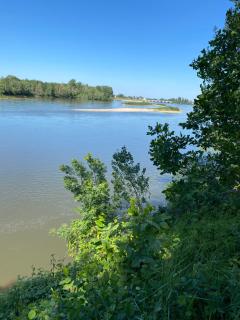 Logis du Lièvre d'or - 9