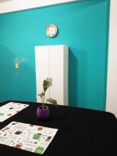 CASA TEMPORAL JUJUY - 3