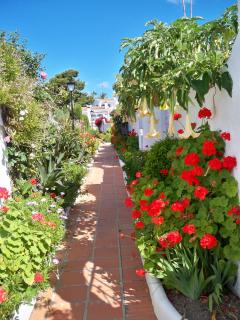 El Capistrano Sur - Nerja - 1