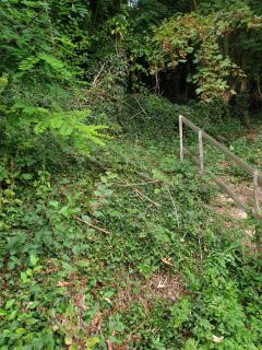 À flanc de colline - 8