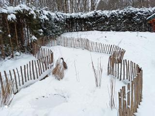 Pension Waldsauna - Arnsberg - 7