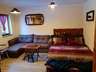 tornik studio zlatibor - Zlatibor - 9