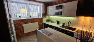 Quiet Basement Apartment - 1