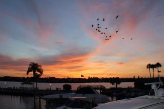 Harbor Towers-Ground Floor - Siesta Key - 4