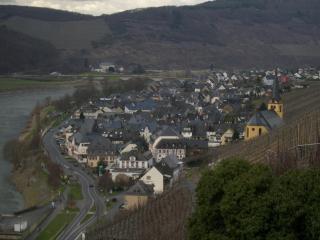 Kappes-Koppelkamm - 1