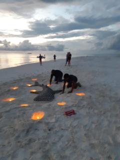 Liveaboard Adora - 8