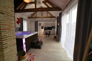Eaudyssée maison avec SPA privée - Loiret - 0