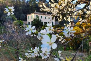 Agroturisme Finca Sa Maniga - Bunyola - 0
