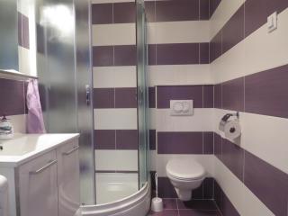Apartment Prestige with free parking - 9