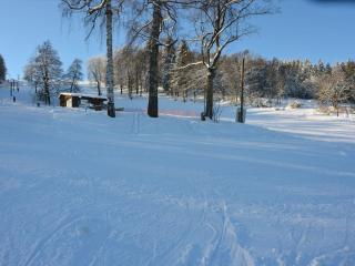 small holiday home at the edge of the forest - 0