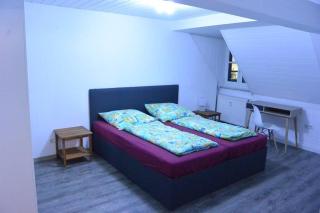 Ferienwohnung "Kastanie" mitten im Herzen von Bayreuth,Zentrum nur 1 Min - Bayreuth - 5