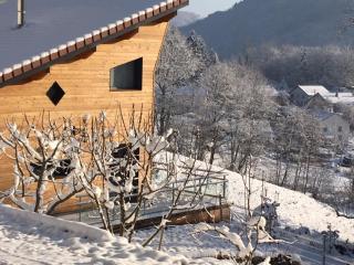Villa Cora Venez neuve avec SPA - Saint-Bresson - 8