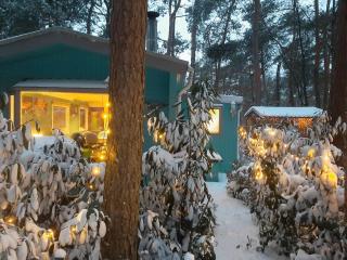 Boshuis Turquoise / smaakvol genieten op de Veluwe - Hoenderloo - 2