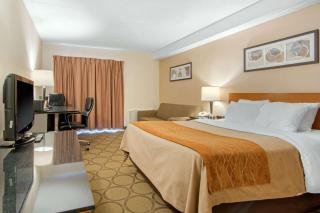 Comfort Inn - Sudbury - 2