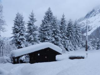 Chalet Les Frenes - 1
