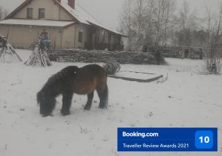 Zagroda Olszówka - Przykona - 8