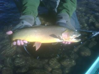 Spring Creek Ranch - Jackson - 3