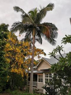 Arcadia House - Byron Bay - 7