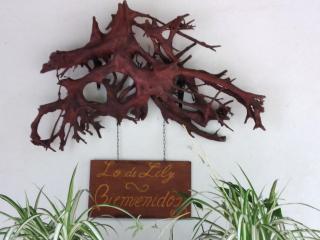 Lo de Lily - Embalse - 6
