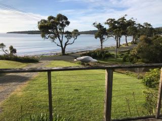 Summertime Cottage - Southport - 3