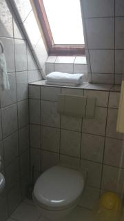 Pension Zur Sonne Wittenweier - Schwanau - 7