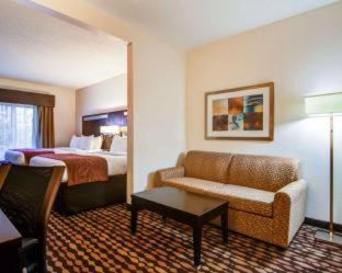 Comfort Suites Northside Hospital Gwinnett - 8