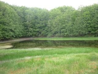 Lago Secco Bed & Breakfast Country House - 9