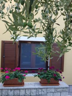 Apartment Magnolia - Mušalež - 3