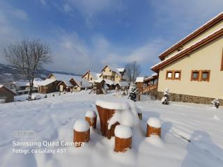 Pensiunea Valea Branzei - Năneşti - 4