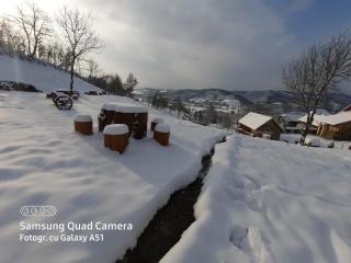 Pensiunea Valea Branzei - Năneşti - 5