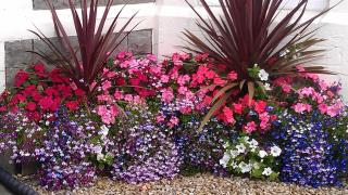 Camellia Lodge Guest House - 4