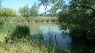 La Grande Bouisse gites avec piscine dans le Luberon, Provence - Céreste - 2