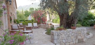 Agroturisme Finca Sa Maniga - Bunyola - 5