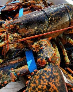 Villa Rava Hotel & restaurant - 1