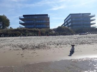 Apartament LUCKY 7 Gardenia Seaside - Dziwnów - 4