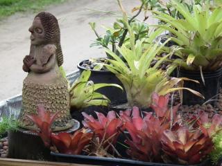 Cabanas Aconchegantes próximas ao mar - Garopaba - 2