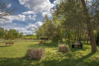 LE GAHOUN - Chalet - Castets - 8
