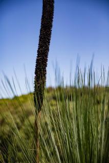 Farm Stay - Tweed Coast Holidays® - Clothiers Creek - 1