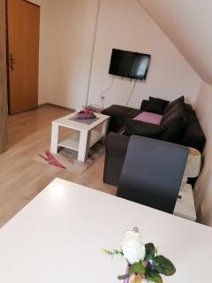 Studio apartman Vasić - Banja Koviljača - 6