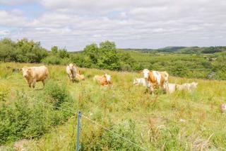 John & Margarets Place - 6